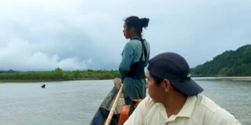 Indígenas mosetenes navegan sobre el río La Paz, en el municipio de Palos Blancos de la TCO Mosetén.