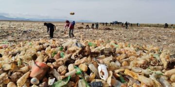 Parte de la basura recolectada en la jornada de limpieza del lago Uru Uru. Foto. Adhemar Wilcarani