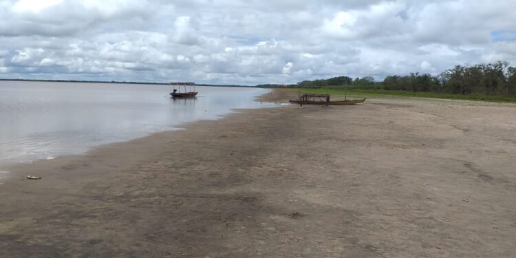 Los benianos quieren salvar la microcuenca «Las Arenas-El Escondido» y la laguna Suárez