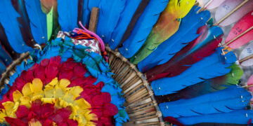 Foto: Wendy Willis