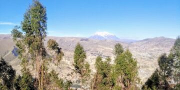 Loteamiento amenaza área protegida municipal en Pampahasi
