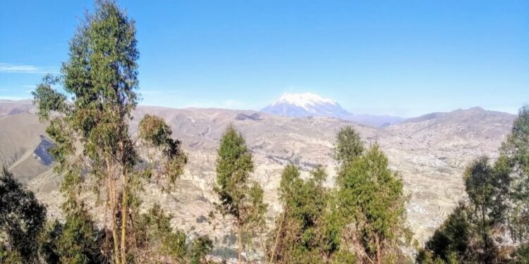 Loteamiento amenaza área protegida municipal en Pampahasi