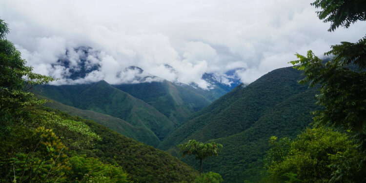 Vista desde Sandillani, PN ANMI Cotapata