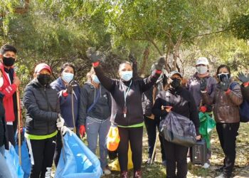 Guadalquivir: un fósil, animales abandonados, plásticos y bebedores marcaron jornada de limpieza