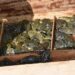 Descubren tráfico ilegal de ranas del Titicaca en el sur de Perú