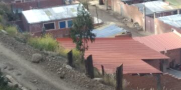 Deforestación continúa amenazando a Ciudadela Ferroviaria
