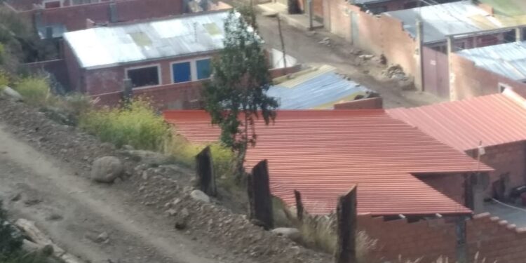 Deforestación continúa amenazando a Ciudadela Ferroviaria
