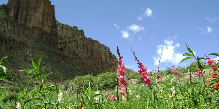 Día del Medio Ambiente 2021