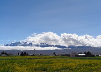 Covid 19 y Día Mundial del Medio Ambiente: una oportunidad para afianzar la economía sostenible
