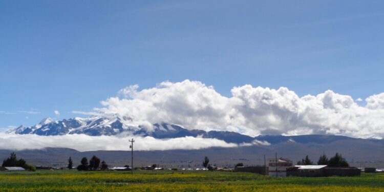 Covid 19 y Día Mundial del Medio Ambiente: una oportunidad para afianzar la economía sostenible