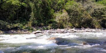 Red Erbol habilita a ANA en su espacio ambiental