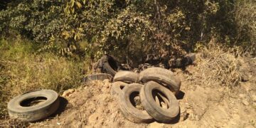 Cacique advierte sobre intenciones de quema forestal en la reserva Bajo Paraguá