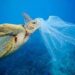 Foto emblemática de greenpeace.org que muestra el impacto de las bolsas de plástico en los mares