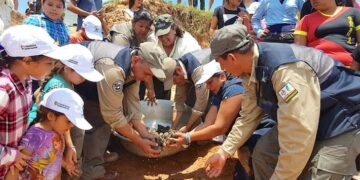 Programa Quelonios, esperanza para evitar la extinción de las petas (tortugas del río Maniqui)