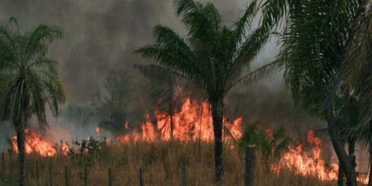 17 pueblos indígenas afectados por los incendios forestales
