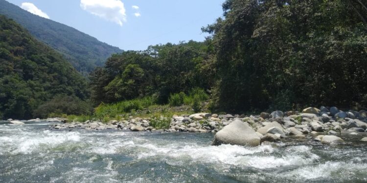 Nevados y obeliscos: cuatro áreas protegidas departamentales en La Paz