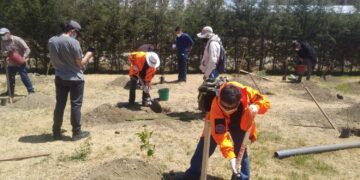 Día Nacional del Árbol: alcaldía paceña inaugura forestación en ex-relleno sanitario de Mallasa