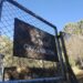 Inauguran “Ruta de la Oxigenación” en bosquecillo de Pura Pura