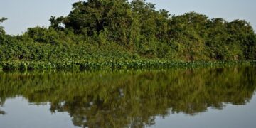 Ocho áreas protegidas nacionales con sitios Ramsar