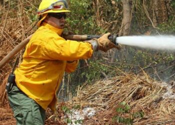 Podcast difunde experiencias de pueblos indígenas con los incendios de la Chiquitanía
