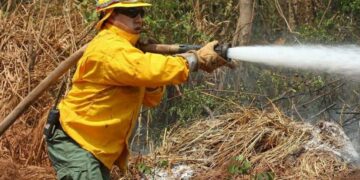Podcast difunde experiencias de pueblos indígenas con los incendios de la Chiquitanía