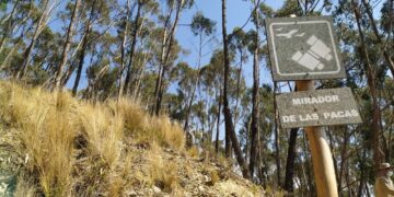 Mirador de «Las Pacas” primera parada de la Ruta de Oxigenación en el Bosquecillo de Pura Pura
