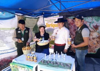 Reserva Nacional de Flora y Fauna Tariquía produce miel y maní de calidad