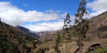 UPAB: Trece años de periodismo por la vida y la naturaleza