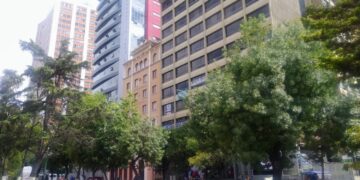 Alcaldía paceña implementará 20 mil árboles este 2022