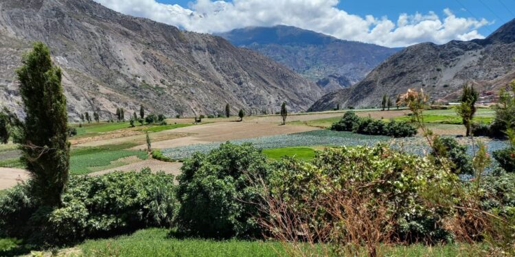 Bello Monte: biodiversidad de Mecapaca en serio riesgo por movimiento de tierras