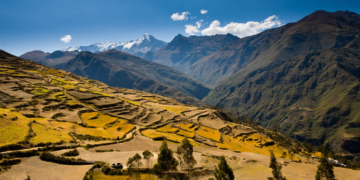 Productividad y conservación a los pies de la Cordillera Apolobamba en La Paz 