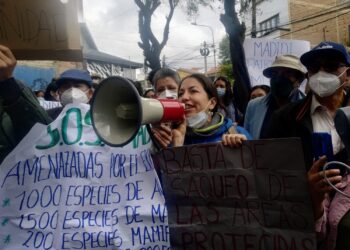 Activistas y cívicos apoleños se manifiestan en puertas del Sernap y la AJAM