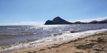 Contaminación afecta totorales donde se reproducen peces del lago Titiqaqa