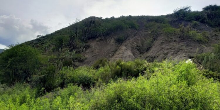 Mecapaca: proponen que Bello Monte sea área protegida