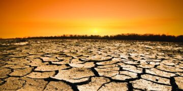 Proyecto de ley contra el ecocidio incorporará responsabilidad empresarial