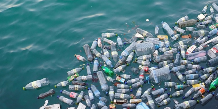 Muy preocupante: estudios hallan microplásticos en sangre humana