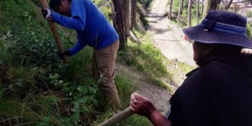 Nueva reforestación en Bosques de la Integración: vida, oxígeno y equilibrio