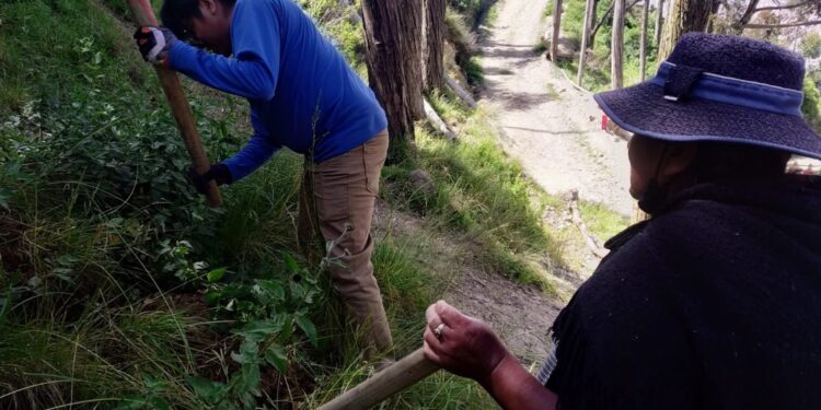 Nueva reforestación en Bosques de la Integración: vida, oxígeno y equilibrio
