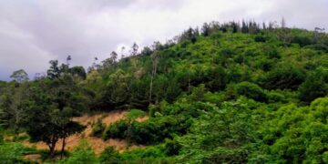 Turismo y Yaguarí, un área protegida entre ríos, aves y monte