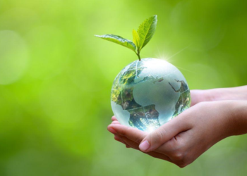 Día de la Tierra: Ciudad de El Alto tendrá su primer bosquecillo