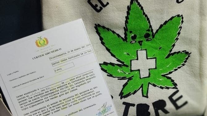 Cannabis: un producto terapéutico para todos
