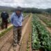 Colectivos por producción agroecológica  condenan liberación de agrotóxicos