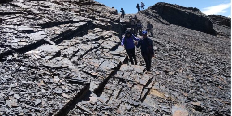 Sector turístico se declara en emergencia y exige abrogación de restricciones