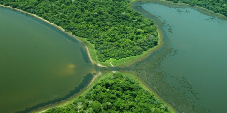 Sernap autoriza ingreso de empresa minera al ANMI San Matías