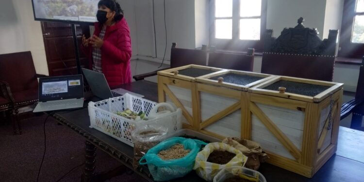 Realizan capacitación sobre compostaje y huertos urbanos en la ciudad de La Paz