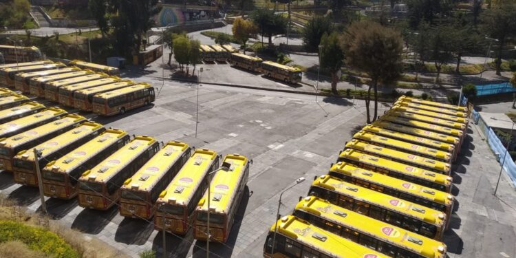 Proyectan que nuevos buses municipales comiencen a operar desde este septiembre