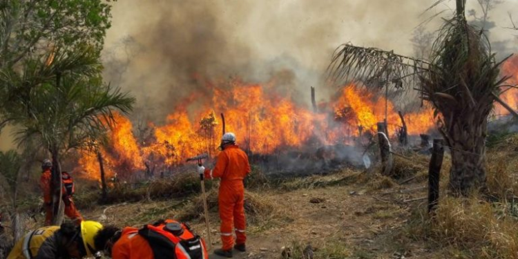 Identificar y sancionar a los culpables de las quemas e incendios forestales