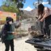 Después de su revisión veterinaria dos vizcachas rescatadas de la zona de Irpavi II fueron liberadas