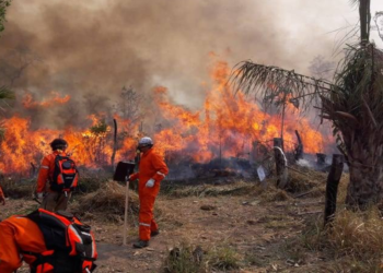 Ambientalistas exigen inmediata atención a incendios forestales