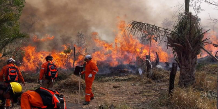 Ambientalistas exigen inmediata atención a incendios forestales